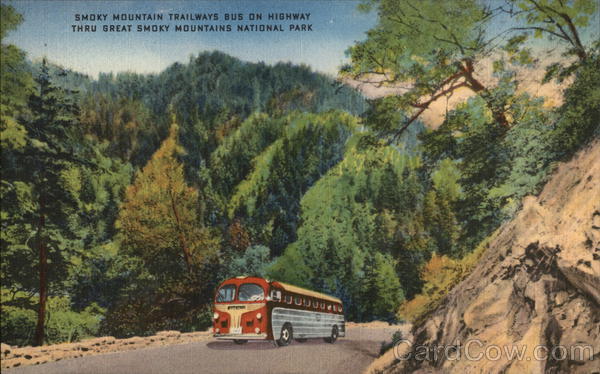 Smoky Mountain Trailways Bus Buses