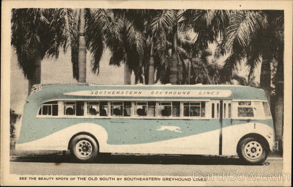 Southeastern Greyhound Lines Buses