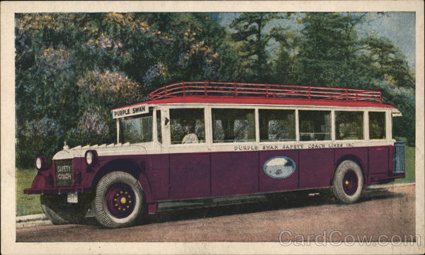Purple Swan Safety Coach Lines Buses
