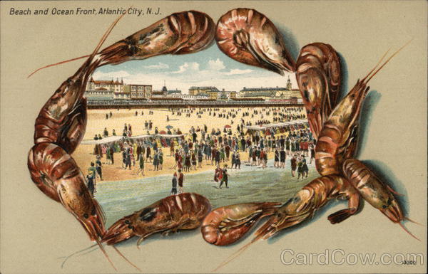 Beach and Ocean Front Atlantic City New Jersey