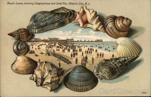 Beach Scene showing Steeplechase and Steel Piers Atlantic City New Jersey