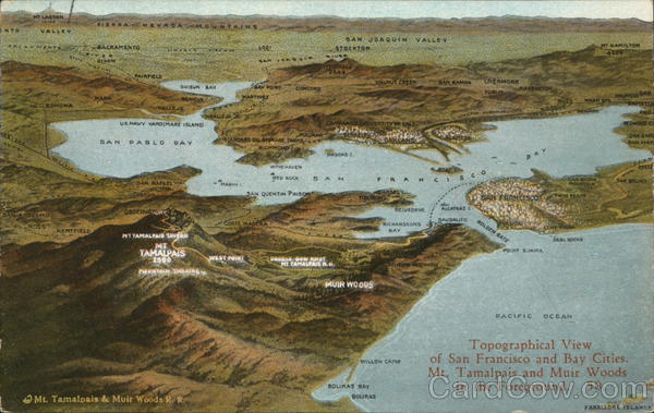 Topographical Map of San Francisco Bay Area California Postcard