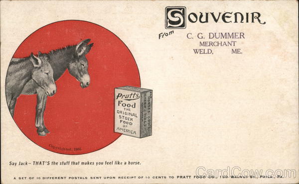 Pratt's Food Weld Maine