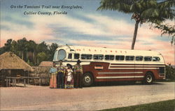 On the Tamiami Trail near Everglades Postcard