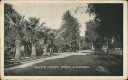 Winter Street Scene Alhambra, CA Postcard Postcard Postcard