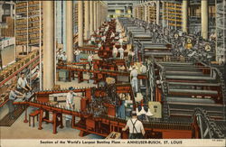 Anheuser-Busch - Bottling Plant St. Louis, MO Postcard Postcard Postcard