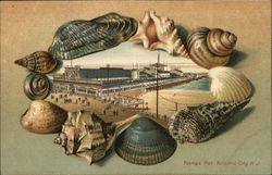 Youngs Pier Postcard