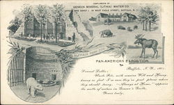 Geneva Mineral (Lithia) Water Co. Buffalo Park Zoo Postcard
