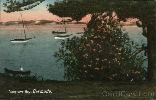 Mangrove Bay Bermuda