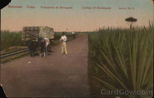 Transporte de Henequen Matanzas Cuba