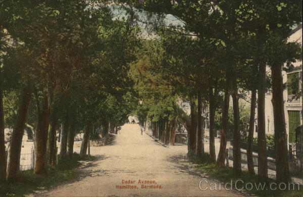 Cedar Avenue Hamilton Bermuda