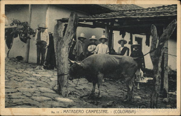 Matadero Campestre Colombia South America