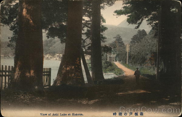 Ashi Lake Hakone Japan