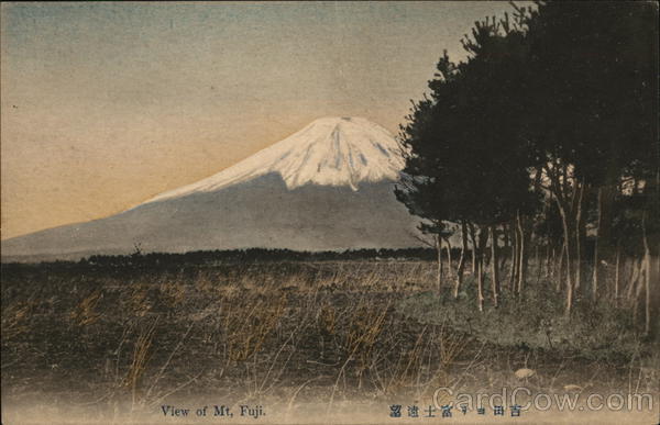 View of Mt. Fuji. Japan