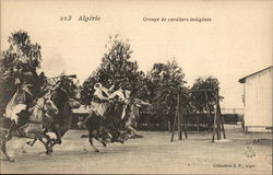 Algérie, Groupe de cavaliers indigènes Postcard