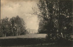 Big house surrounded by trees. Postcard