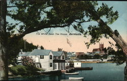 Swan Tea House Bermuda, Bermuda Postcard Postcard
