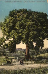 Arbol de la Paz - Peace Tree Santiago de Cuba, Cuba Postcard Postcard