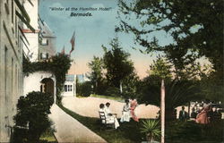Winter at the Hamilton Hotel Bermuda Postcard Postcard