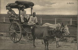 A Reckla Postcard