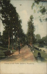 Avenue of the Public Gardens Postcard