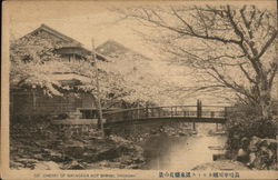 Cherry of Nakagawa Hot Spring, Nagasaki Japan Postcard Postcard