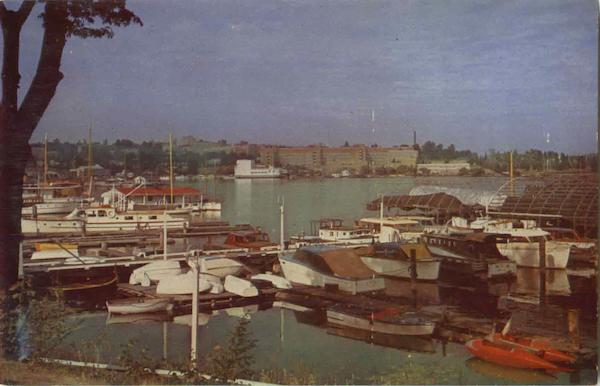 Seattle Yacht Harbor Washington