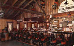 Nationally Famous Dark Horse Bar Postcard