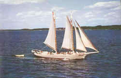 The Maine Passenger Schooner Alice S. Wentworth Postcard