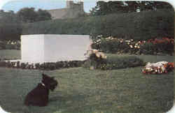 Fala At Hyde Park, Hyde Park Postcard