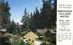 Redwood Village Motel Postcard