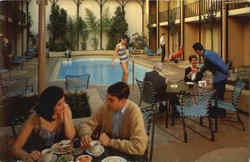 The Handlery Motor Inn Postcard