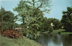 Beautiful Deer Creek Postcard