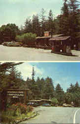 Fernwood Phillips 66 Postcard