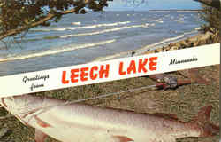 Greetings From Leech Lake Postcard