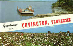 Greetings From Covington Tennessee Postcard Postcard