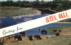 Greetings From Altus Oklahoma Postcard Postcard