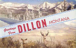 Greetings From Dillon Postcard