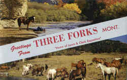 Greetings From Three Forks Montana Postcard Postcard