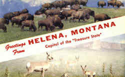 Greetings From Helena Montana Postcard Postcard