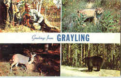 Greetings From Grayling Postcard