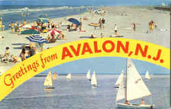 Greetings From Avalon Postcard