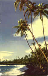 Black Sand Beach Puna, HI Postcard Postcard