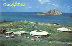 Sea Life Park Postcard