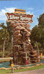 Florida's Silver Springs Postcard