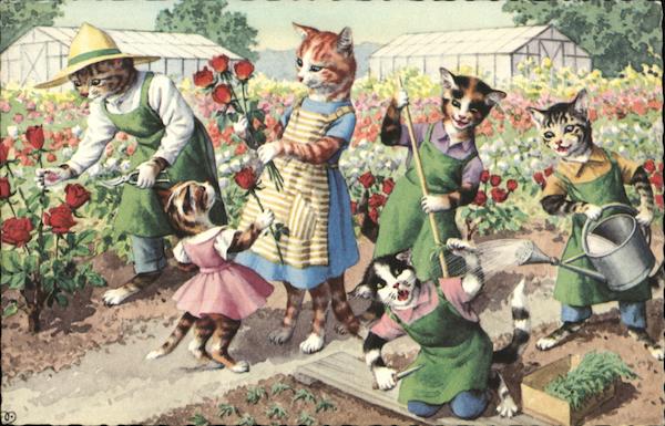 Dressed Cats in the Garden Dressed Animals