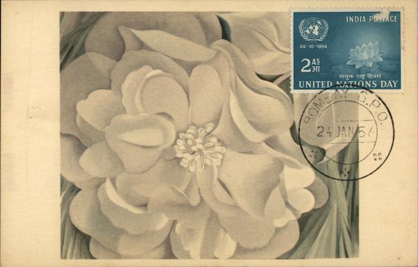 The White Flower by Georgia O'Keeffe, Whitney Museum of American Art