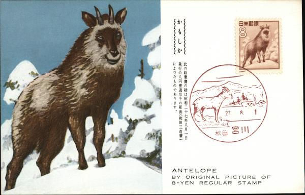 Antelope Maximum Cards