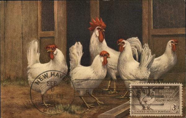 Chickens and Rooster: First Day Cover Maximum Cards