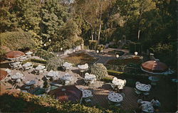 Cafe del Rey Moro - Outdoor Dining Patio Cafe del Rey Moro - Outdoor Dining Patio